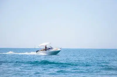 Passito 560