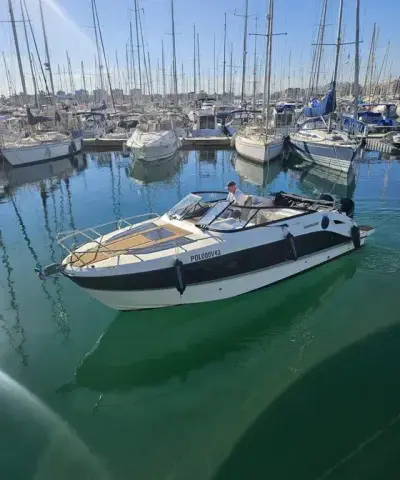 Yate Delfín