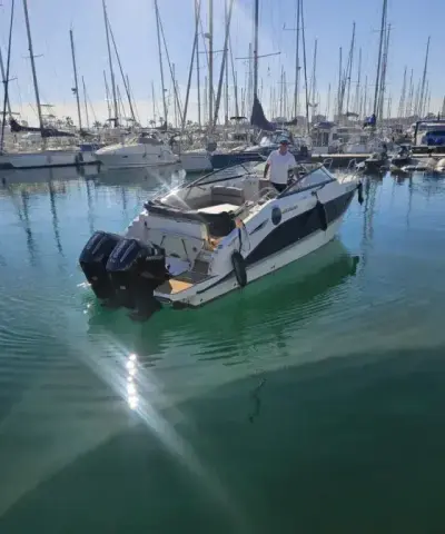 Yate Delfín