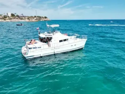 Yate Delfín