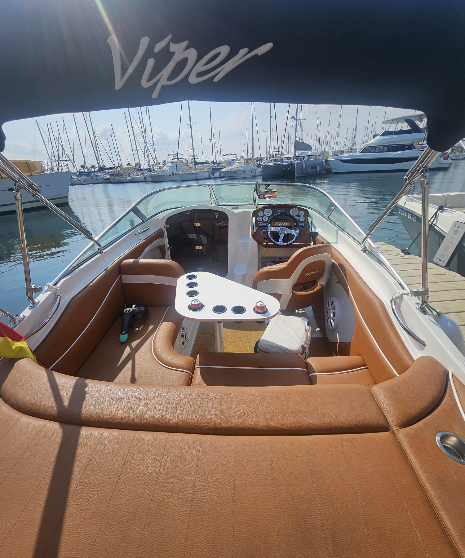 viper (4)